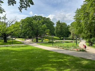 IMG_8520-medium.JPG